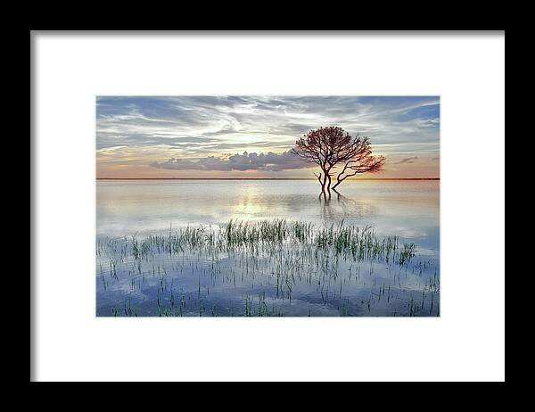 Clouds Framed Print featuring the photograph Alone at Sunset in Soft Hues by Debra and Dave Vanderlaan