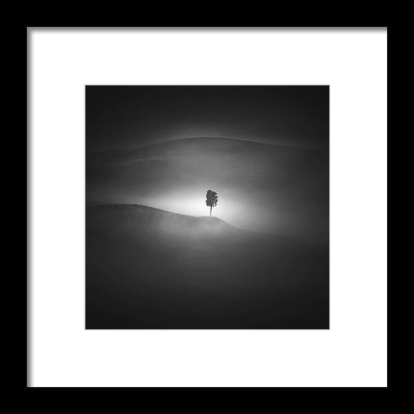 Tree Framed Print featuring the photograph Alone in the Fog by Stefano Orazzini