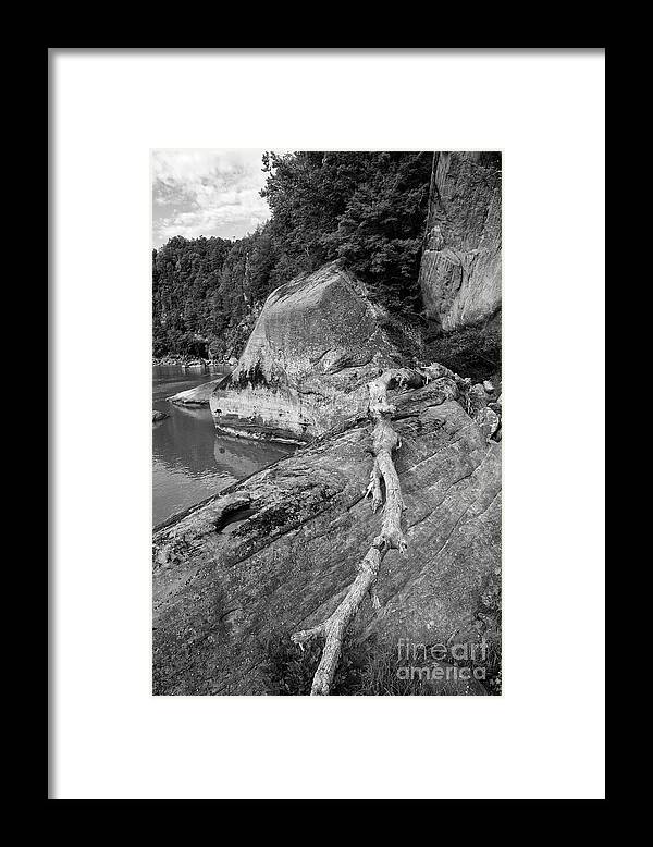 Black And White Framed Print featuring the photograph Along The Cumberland River by Phil Perkins