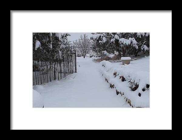 Snow Framed Print featuring the photograph Along The Garden Path by Doug Miller