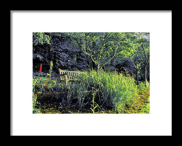 Nature Framed Print featuring the photograph Along the Path to Lake Caroline by Steve Ember