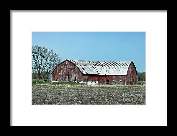 Barn Framed Print featuring the photograph Alpena County Barn E by Scott Polley