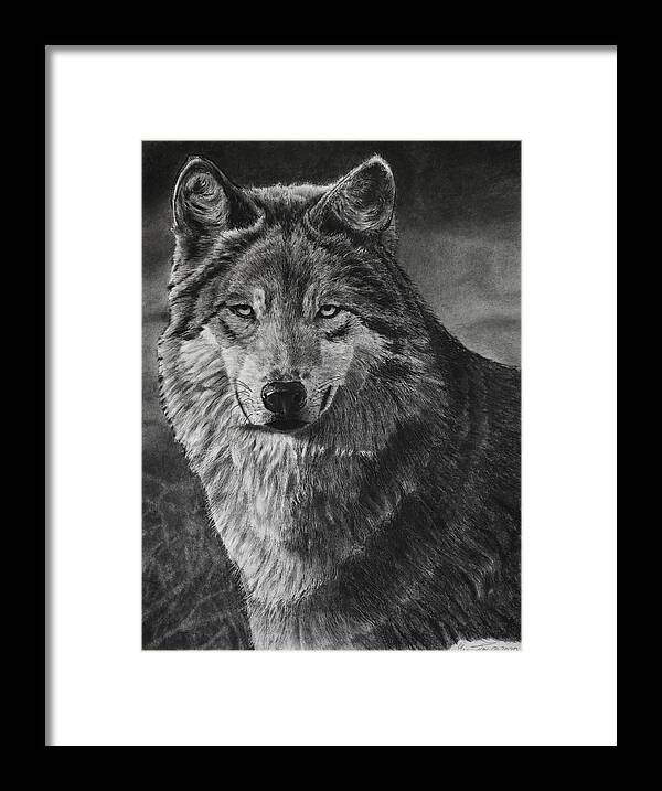Wolf Framed Print featuring the drawing Alpha by Greg Fox