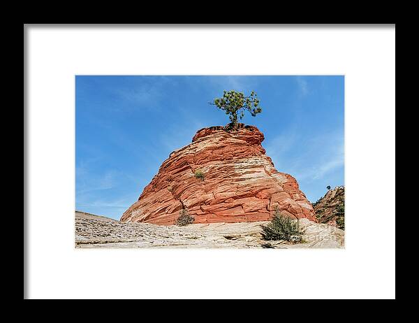 Hills Framed Print featuring the photograph Amazing Ponderosa - Zion National Park by Al Andersen