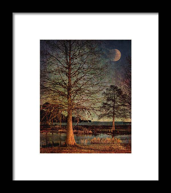 Moon Framed Print featuring the photograph Ambient Light by Shara Abel