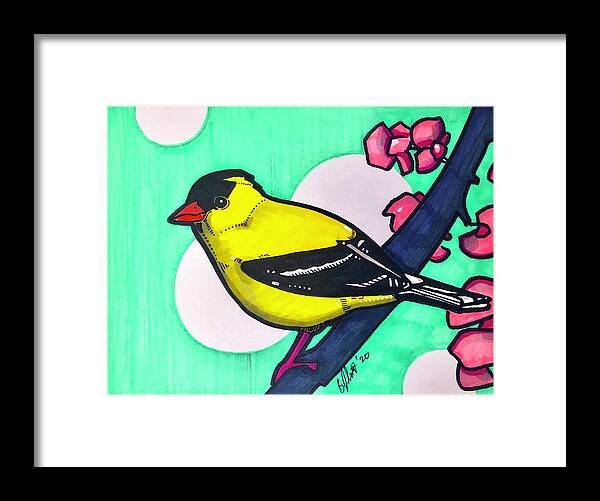 American Gold Finch Framed Print featuring the drawing American Gold Finch by Creative Spirit
