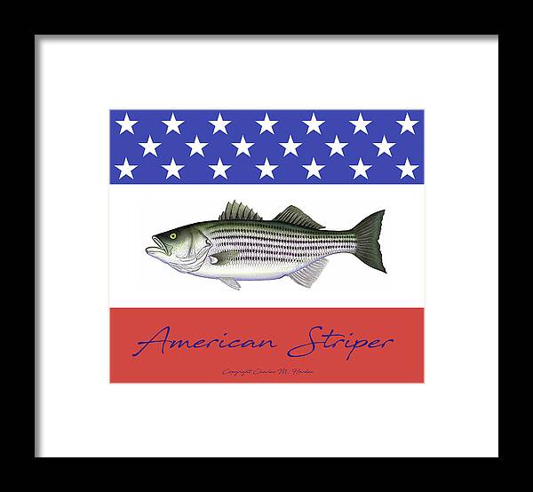 Charles Harden Framed Print featuring the painting American Striper Striped Bass Fleece Blanket by Charles Harden