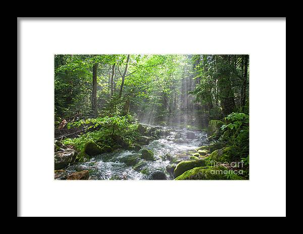 Adventure Framed Print featuring the photograph Ammonoosuc Ravine Trail - White Mountains NH USA by Erin Paul Donovan
