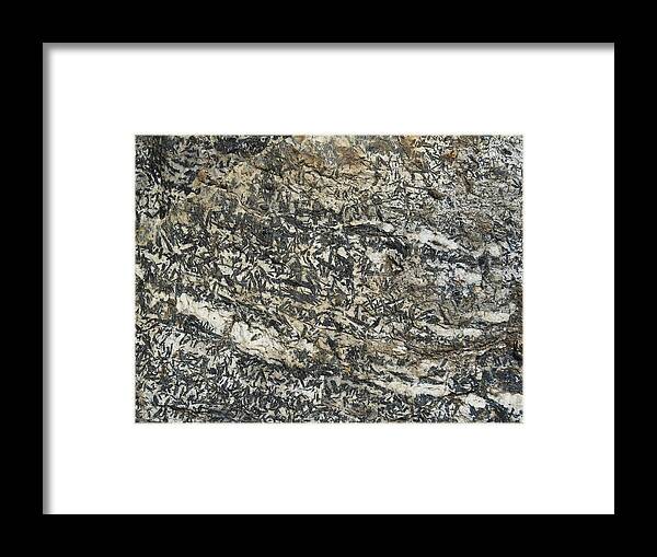 Geology Framed Print featuring the photograph Amphibolite Block With Black Star-shaped Amphiboles by Federica Grassi