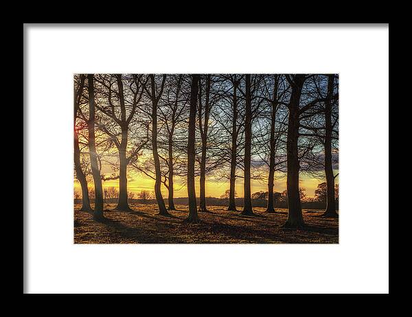 Framing Places Photography Framed Print featuring the photograph Ampthill Great Park Trees by Framing Places