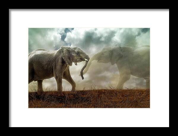Elephant Framed Print featuring the digital art An Elephant Never Forgets by Nicole Wilde