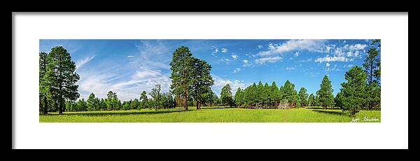 Arizona Framed Print featuring the photograph Anasazi Meadow on Campbell Mesa by Jeff Goulden