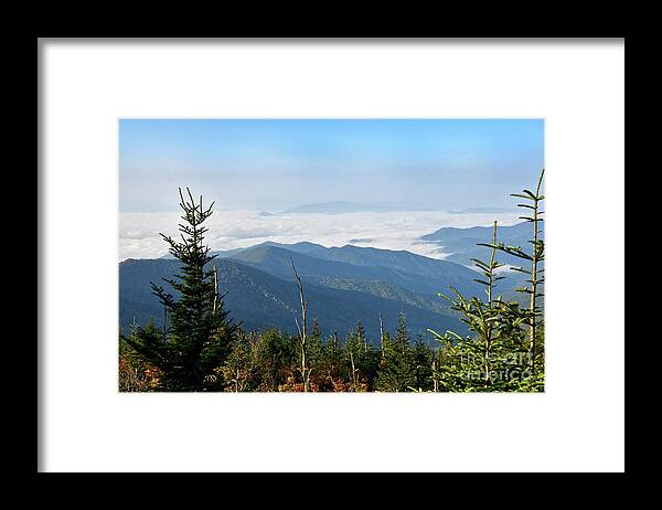 Andrews Bald Framed Print featuring the photograph Andrews Bald 10 by Phil Perkins