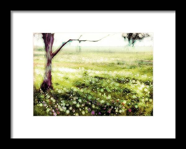 Anemones Framed Print featuring the photograph Anemones in Megiddo 4 by Dubi Roman