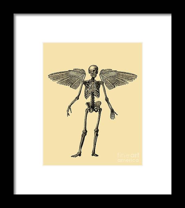 Skeleton Framed Print featuring the digital art Angel Skeleton by Madame Memento