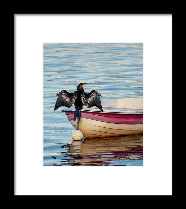 Anhinga Framed Print featuring the photograph Anhinga at Sunrise by Bryan Williams