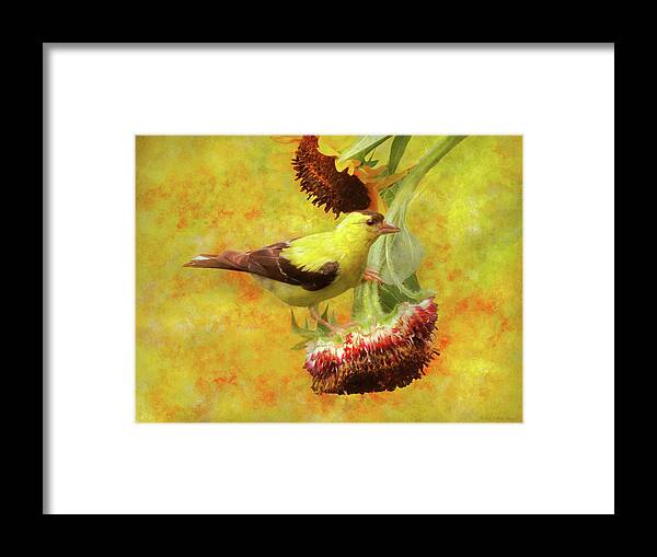 Bird Framed Print featuring the photograph Animal - Bird - For the birds by Mike Savad