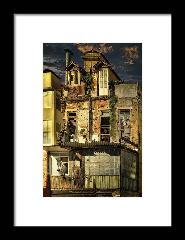 Quarantined Framed Print featuring the photograph Animal House by Micah Offman