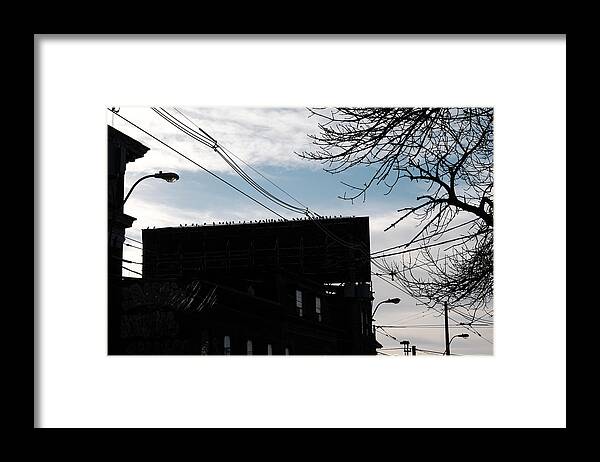 Bird Framed Print featuring the photograph Another One For Alfred by Kreddible Trout
