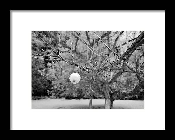 Black Forest Framed Print featuring the photograph Anti-gravity apple by Ioannis Konstas