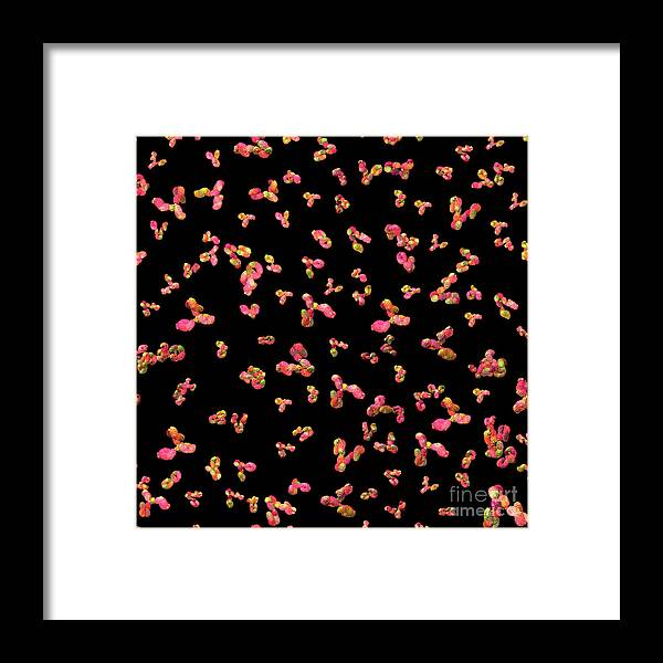 Antibody Framed Print featuring the digital art Antibodies on Black by Russell Kightley