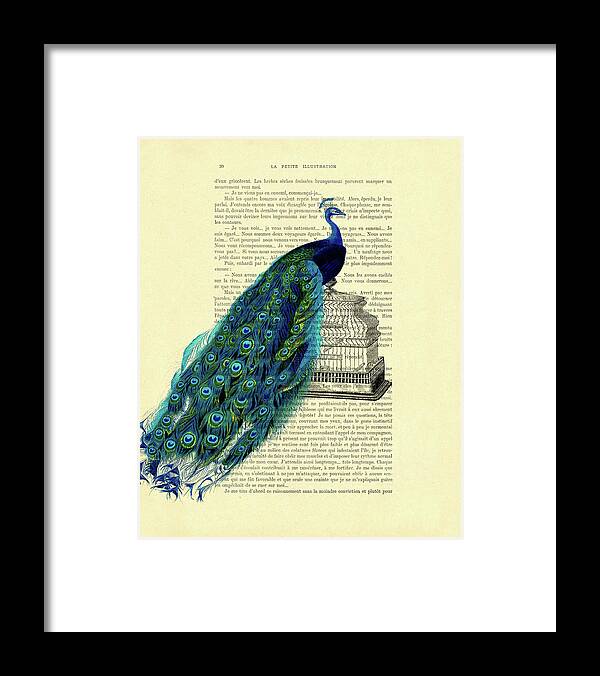 Peacock Framed Print featuring the digital art Antique bird cage peacock art by Madame Memento