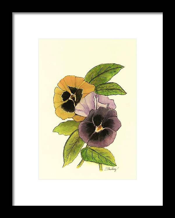 Pansy Framed Print featuring the painting Antique Pansies by Shirley Dutchkowski