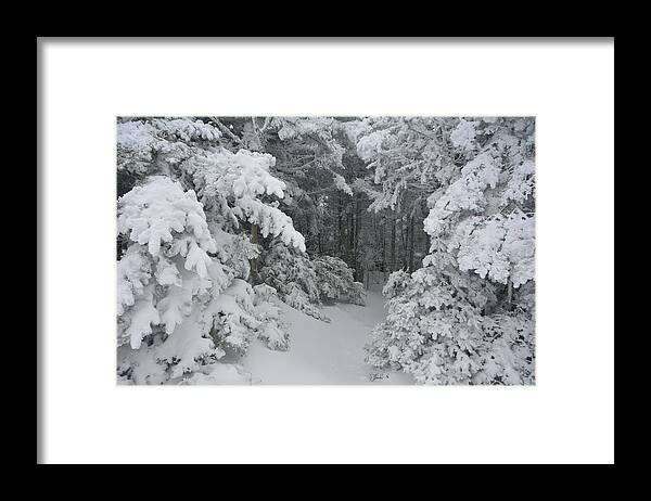 Appalachian Trail Northbound Of Stratton Mountain Framed Print featuring the photograph Appalachian Trail Northbound of Stratton Mountain 3 by Raymond Salani III