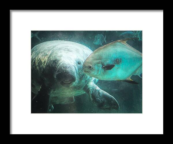 Aquatic Framed Print featuring the photograph Aquatic Harmony by Susan Hope Finley