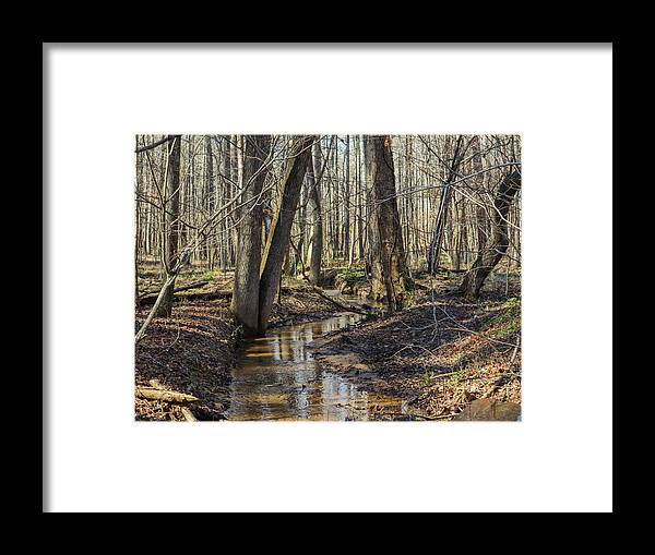 Arabia Mountain Framed Print featuring the photograph Arabia Mountain Woods Creek by Ed Williams