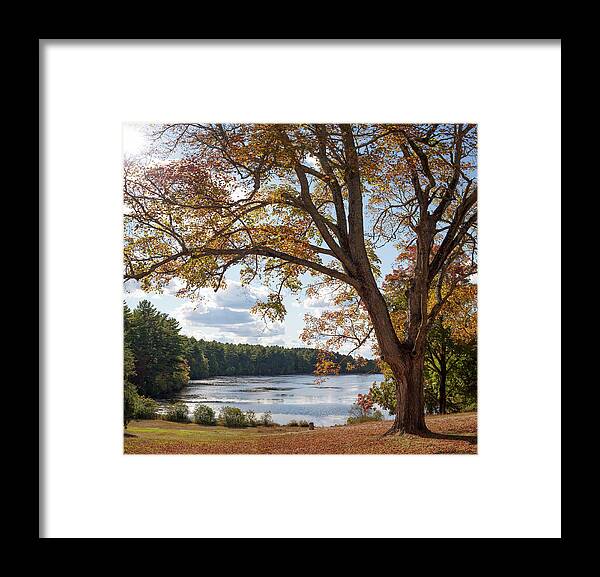 Arcadia Framed Print featuring the photograph Arcadia in the Fall by Kirkodd Photography Of New England