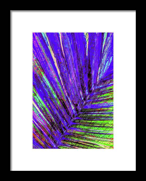 Palm Artwork Framed Print featuring the digital art Areca Peacock Plume by Pamela Smale Williams