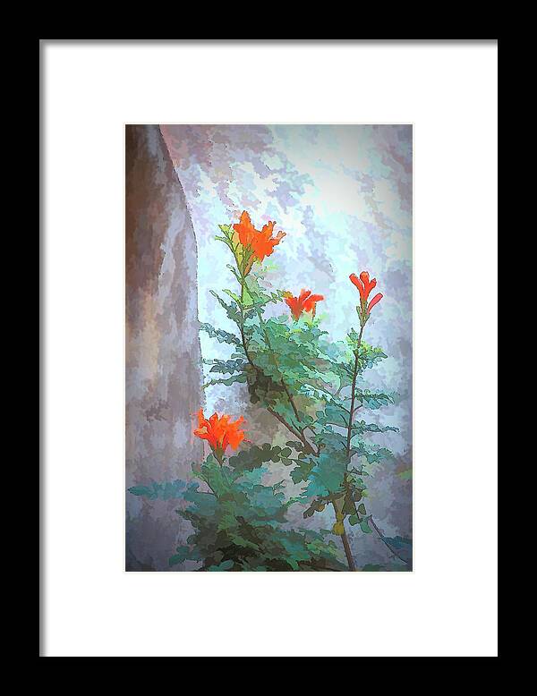 Flower Framed Print featuring the photograph Artistic Cape Honeysuckle by Jerry Griffin