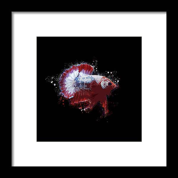 Artistic Framed Print featuring the digital art Artistic FCCP Betta Fish by Sambel Pedes