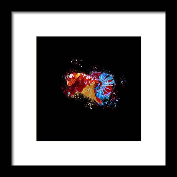 Artistic Framed Print featuring the digital art Artistic Nemo Multicolor Betta Fish by Sambel Pedes