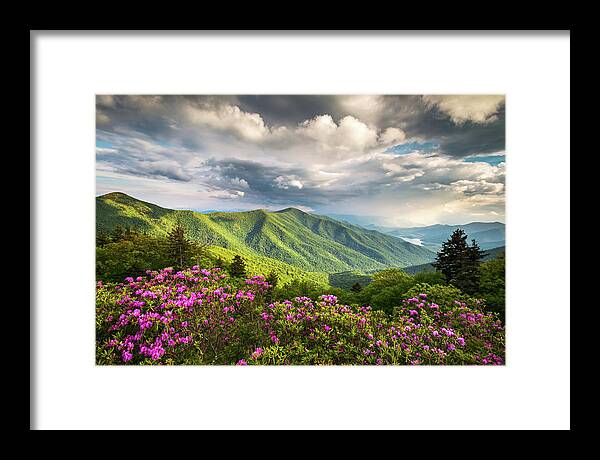 North Carolina Framed Print featuring the photograph Asheville NC Blue Ridge Parkway Spring Flowers by Dave Allen