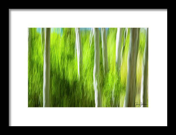 Aspen-trees Framed Print featuring the photograph Aspen Illusions by Gary Johnson