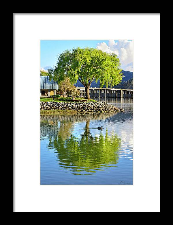 Peaceful Framed Print featuring the photograph At the Lagoon by Richardson Bay by Brian Tada