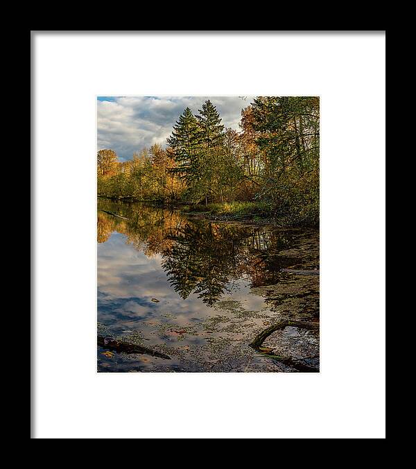  Framed Print featuring the photograph At the pond by Ulrich Burkhalter