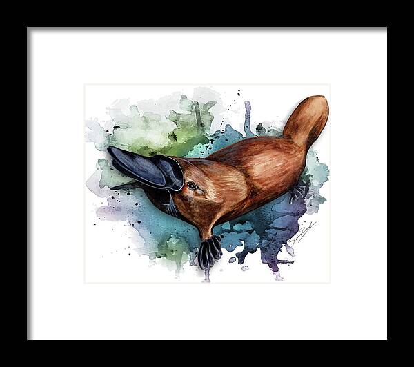 Art Framed Print featuring the painting Australian Platypus by Simon Read