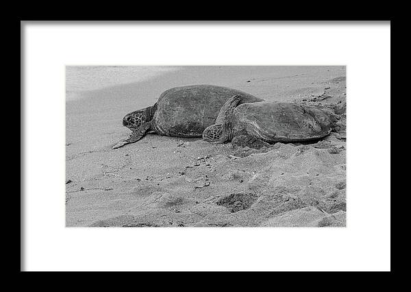 Black And White Framed Print featuring the photograph Authentic Love by Kim Sowa