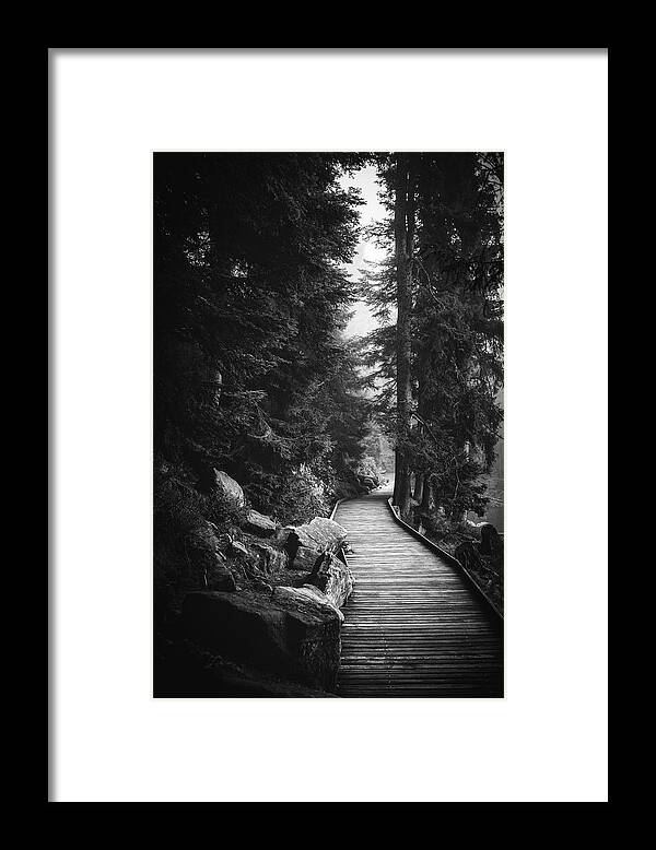 Black And White Framed Print featuring the photograph Autumn Alley by Philippe Sainte-Laudy