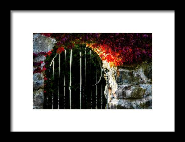 Fall Foliage Framed Print featuring the photograph Autumn Arch by Michael Hubley