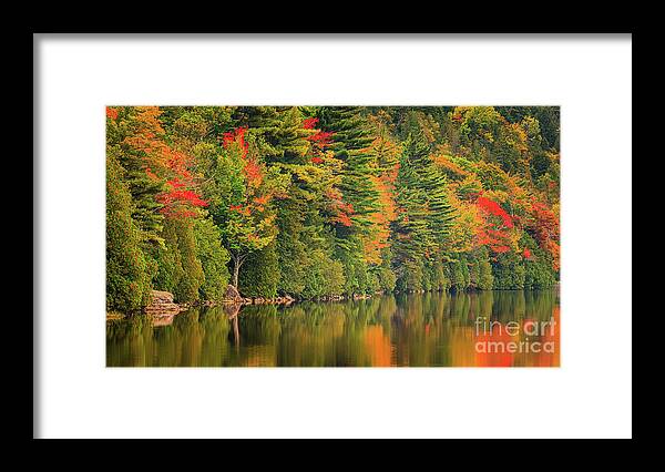 Acadia Framed Print featuring the photograph Autumn at Bubble Pond in Acadia National Park by Henk Meijer Photography