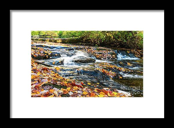Stream Framed Print featuring the photograph Autumn at Pinky Falls by Ron Long Ltd Photography