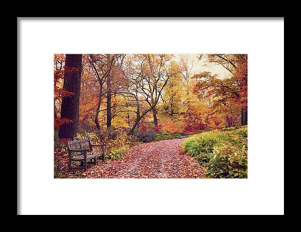 Autumn Framed Print featuring the photograph Autumn Azalea Garden by Jessica Jenney