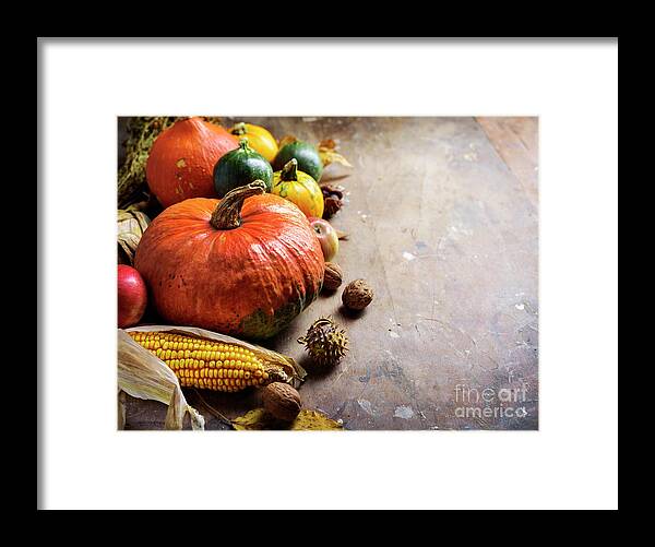Thanksgiving Framed Print featuring the photograph Autumn Background by Jelena Jovanovic