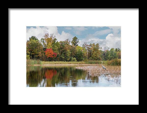 Autumn Framed Print featuring the photograph Autumn Blue Heron by Patti Deters