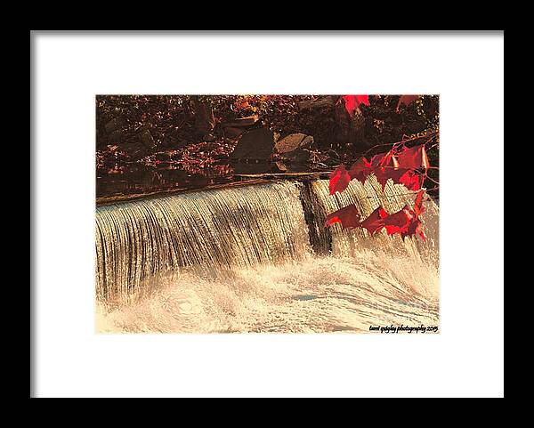 Waterfalls Framed Print featuring the photograph Autumn Cascade by Tami Quigley