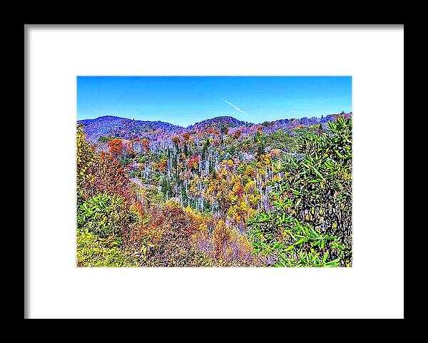 Autumn Framed Print featuring the photograph Autumn Colors by Allen Nice-Webb